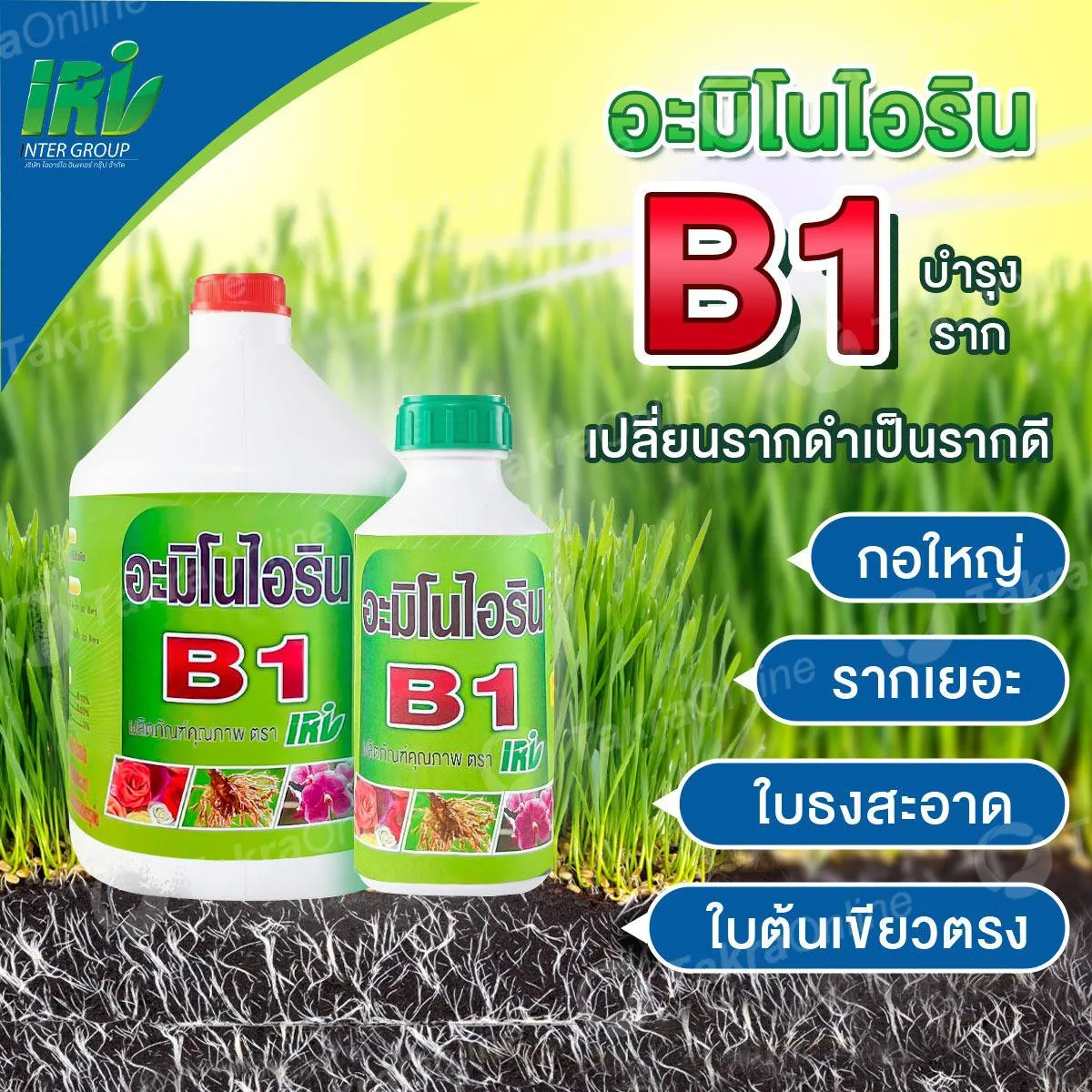 อะมิโนไอริน B1